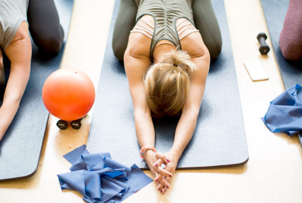 fitness-wisetail-lms-3