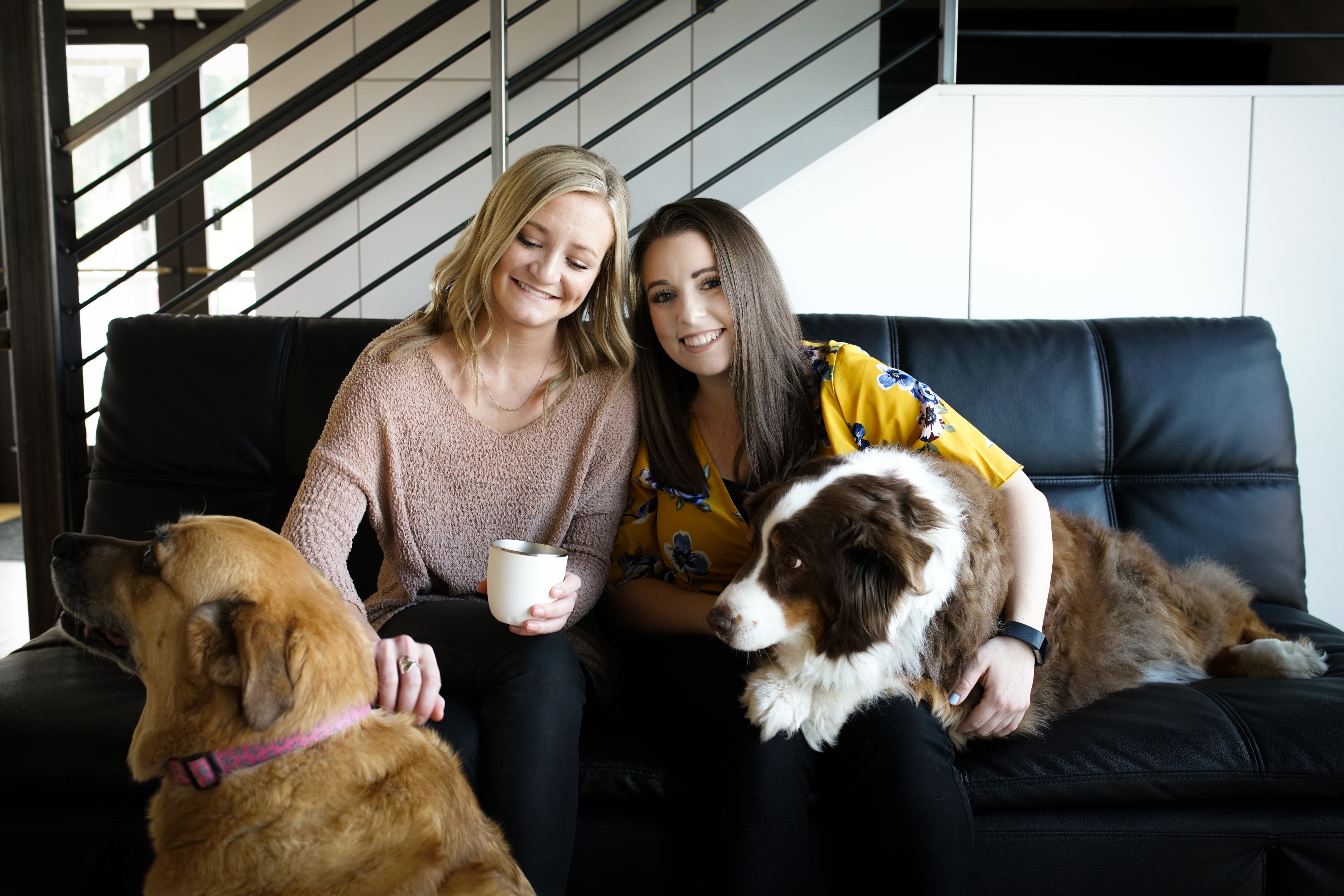 wisetail-dog-policy-benefits