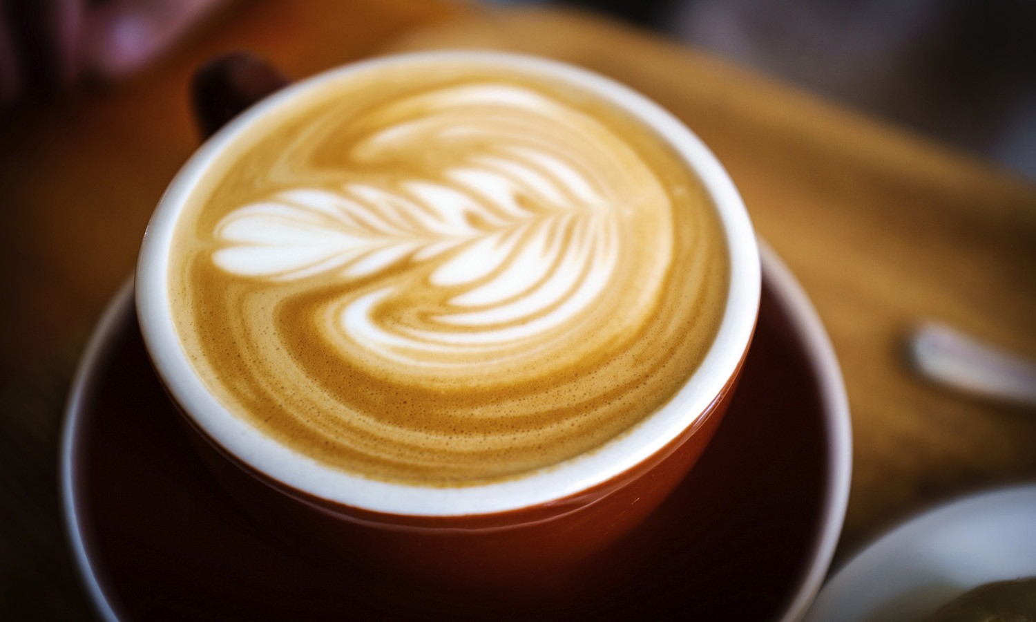 gloria-jeans-wisetail-lms