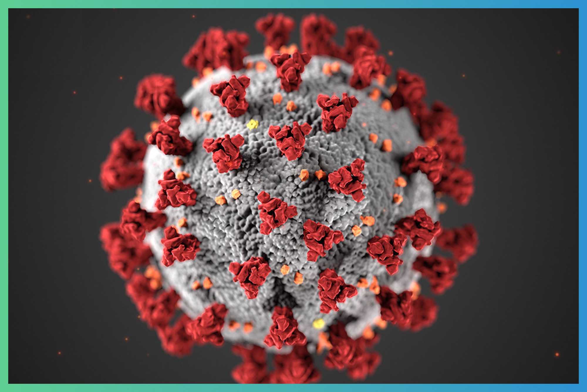 Wisetail LMS response to the Covid-19 pandemic.