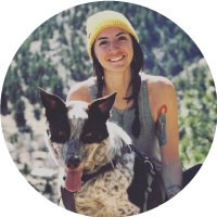 Wisetail LMS guest author Kelsey Foster.