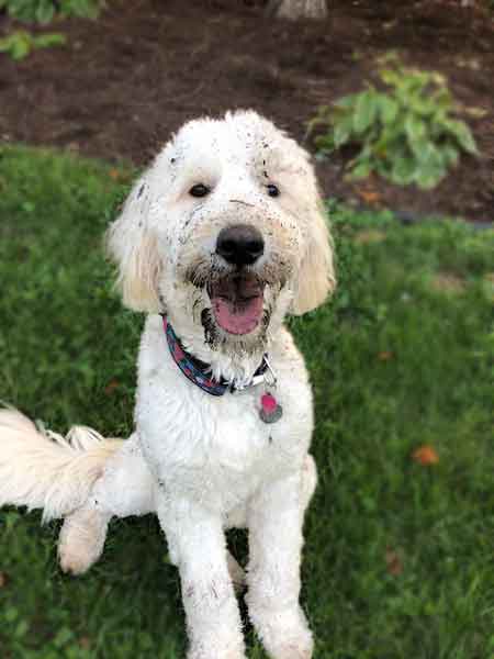 Nora with a muddy face