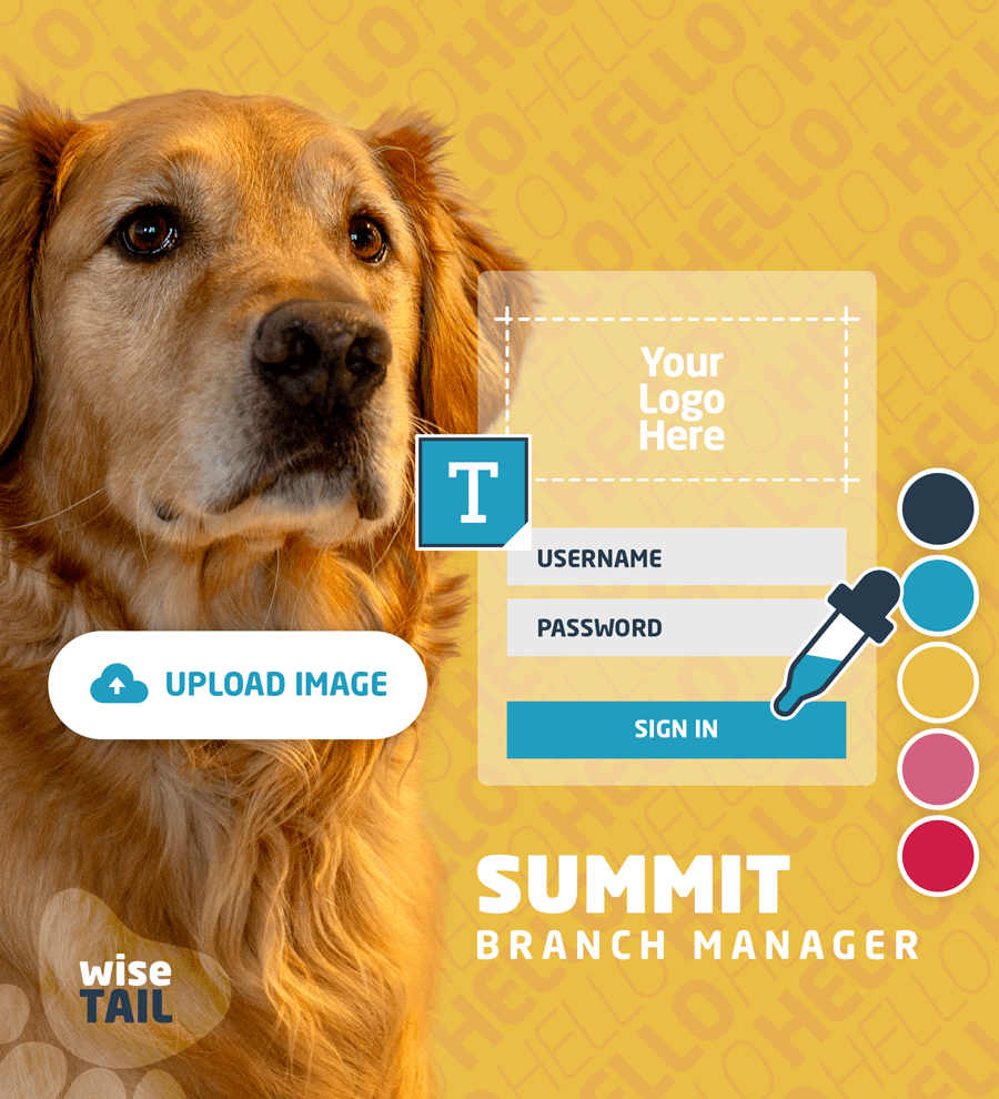 WT_WR_featuresparent_branding-design