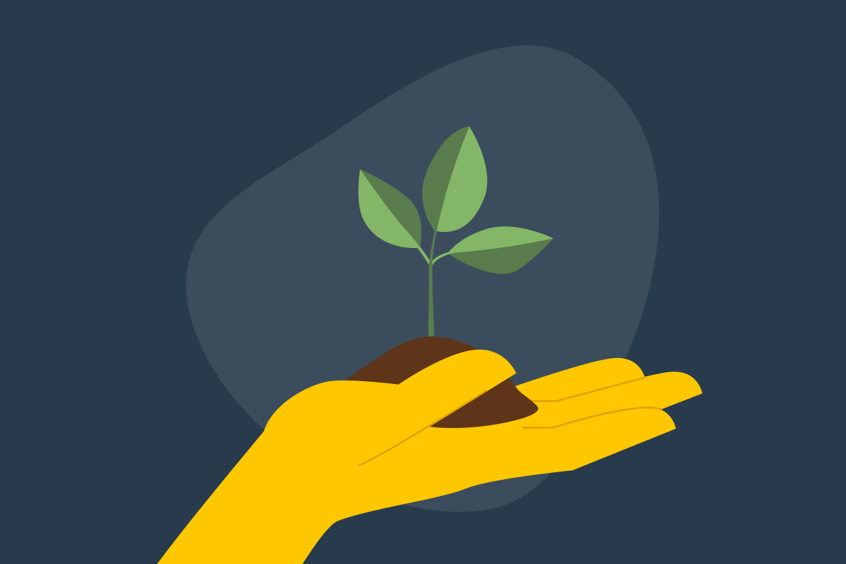 Illustration of a hand holding a plant sprouting out a clump of dirt.