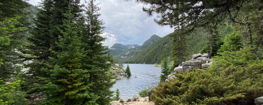 Photo: tall trees and lush green foliage surround a lake with mountains in the distance.