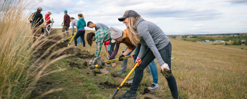 Photo: Wisetail employees work to maintain a trail.