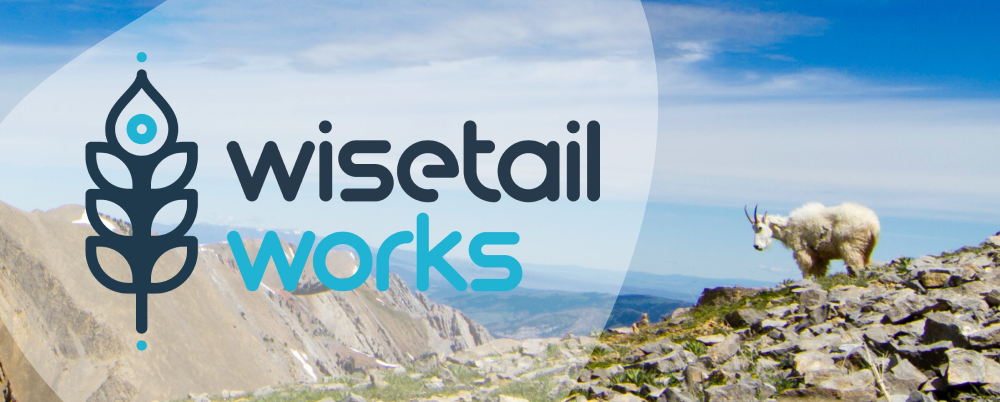 Photo with graphic: A mountain goat stands on a rocky cliff overlooking a mountain in the distance, a graphic of the “Wisetail Works” logo is shown left of the goat.