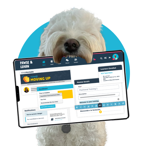 White dog with an ipad in its mouth showing screenshot of Wisetail LMS