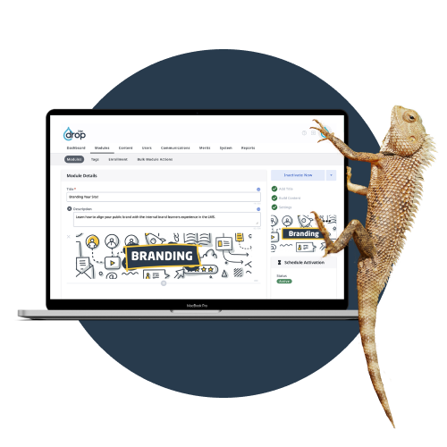 Lizard climbing side of laptop showing screenshot of Wisetail LMS