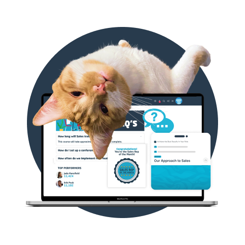 Cat laying down looking backwards at the camera, on top of a laptop with a screenshot of Wisetail LMS