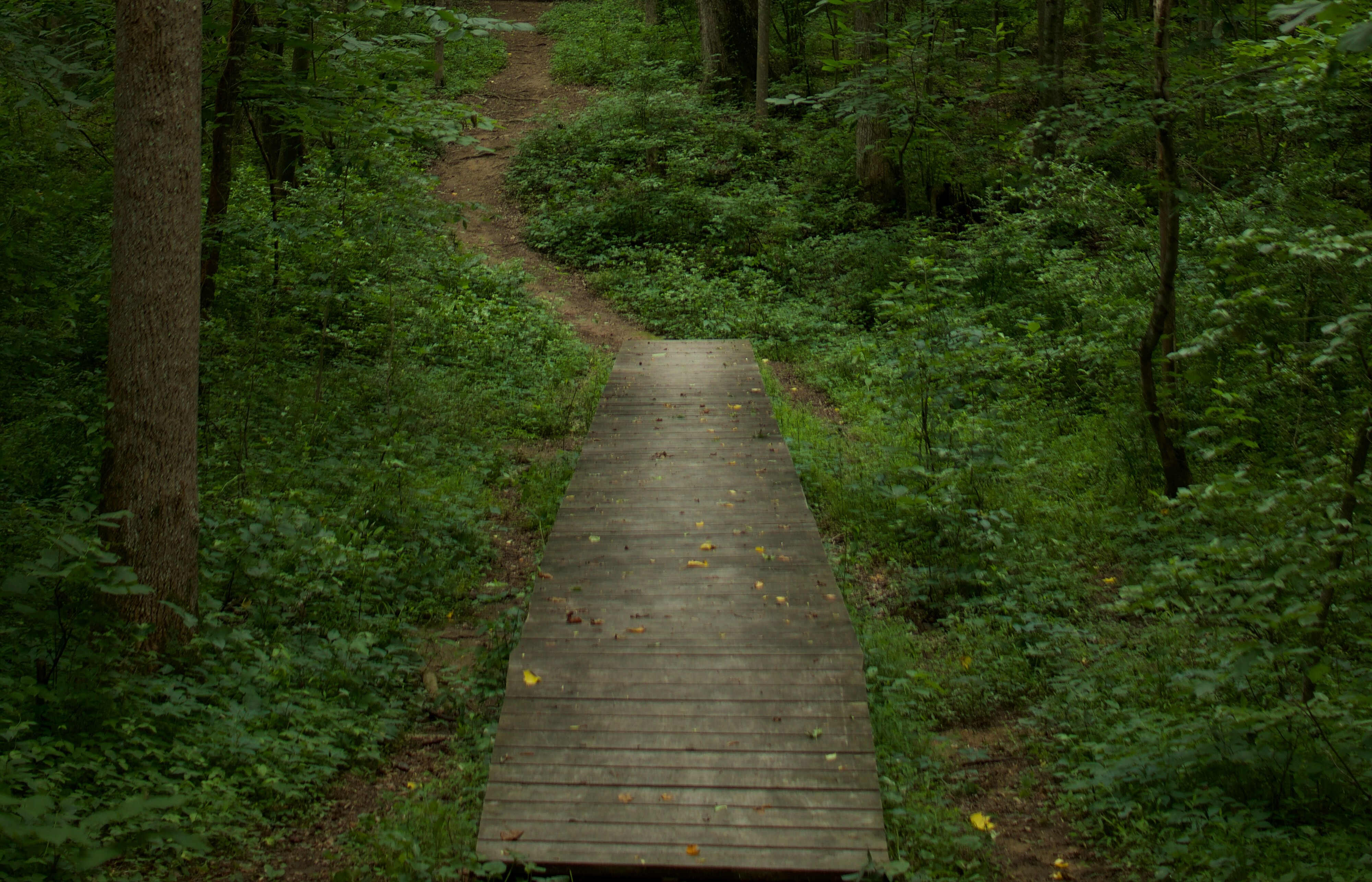 The Future of Learning: 5 Essential L&D Predictions for 2024